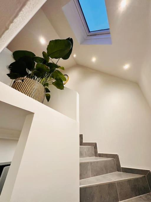 Superbe Maison A Proximite Du Centre De Strasbourg Bischheim Exterior foto